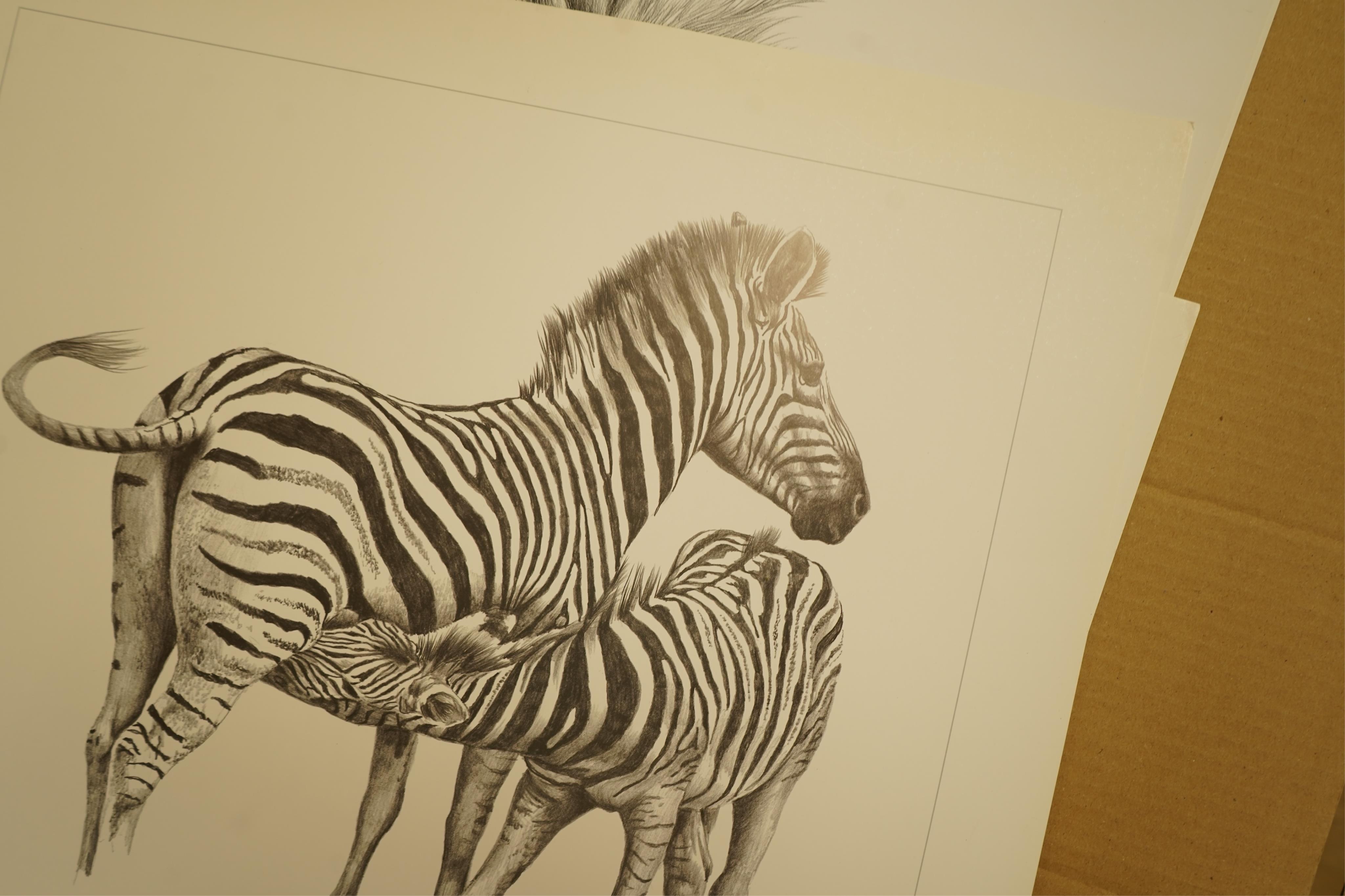 Donald Heywood (b.1944), eleven prints, each signed in pencil to include: ‘Leopard drinking’, ‘Lion portrait’ and ‘Lion cub’, unframed, largest 68 x 48cm